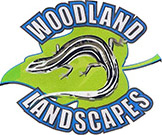 Woodland Landscapes